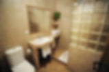 Baño principal planta baja