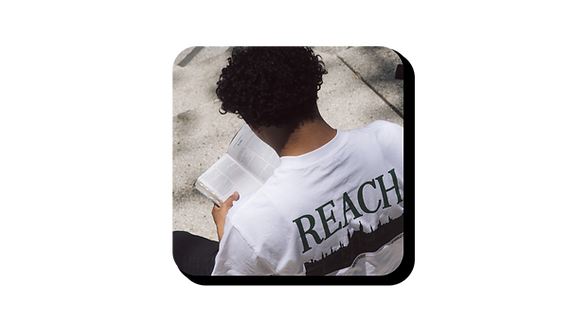 Artboard 6 copy 3_green.png