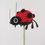 Thumbnail: Crochet Ladybug | Forever Flowers