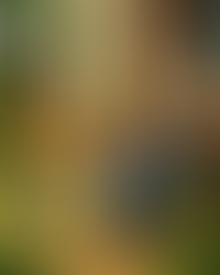 Korku Öğrenilir mi?