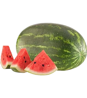 sandia_soriana_edited.png