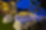 Hotel-Night2_U1A8163_klein.jpg