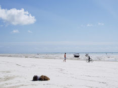 Beach Please