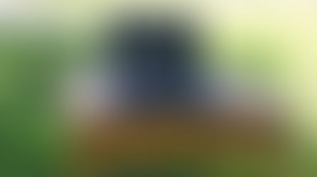 Slunovratové zamyšlení o minimalismu a kráse pomalého života