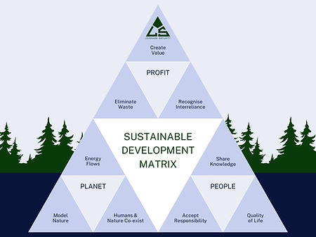 Sustainability triangle - LS (1).jpg