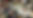 1722927489412.jpeg