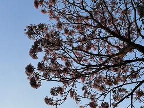 6 Ways to Hit Reset on Anxiety