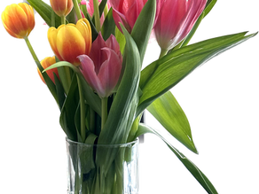 Breaking the Silence: Depression Awareness