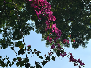 Be the change you want to see in the world - M.Gandhi