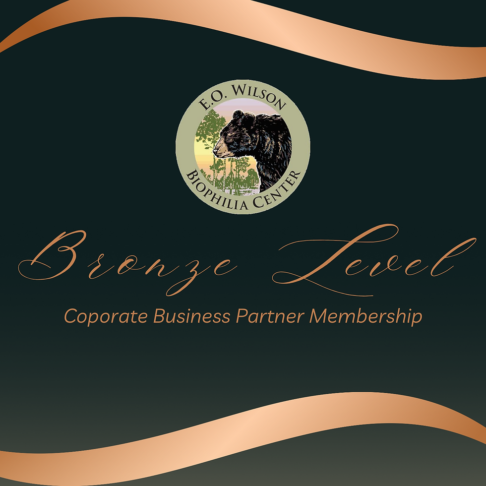 Bronze Level Corporate Business Partner Membership