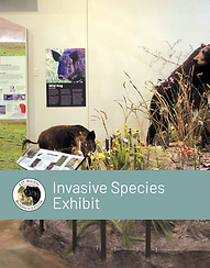 Screenshot 2025-06-24 at 10.15.30 AM.png