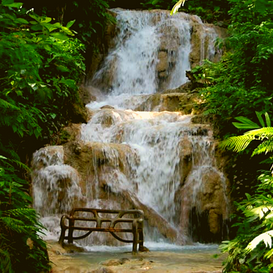 Turtle River Garden & Falls.png