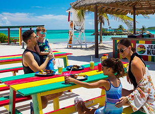 Website Graphics (1).png