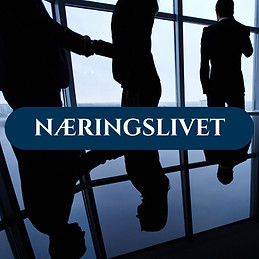 Illustrasjoner Jusutdanning Karriere - Næringsliv.jpg
