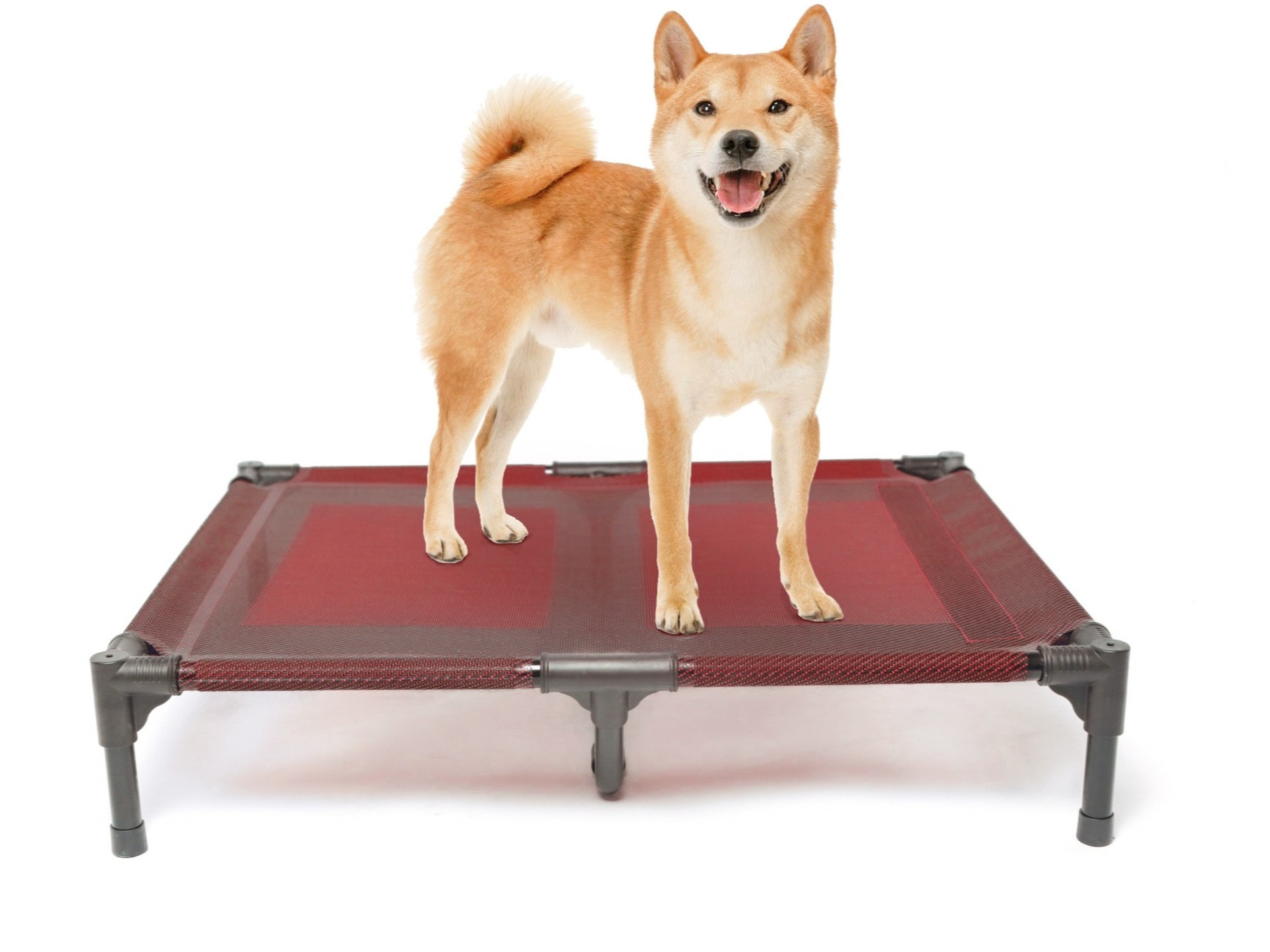 Elevated Dog beds Waterproof(SIZE L)