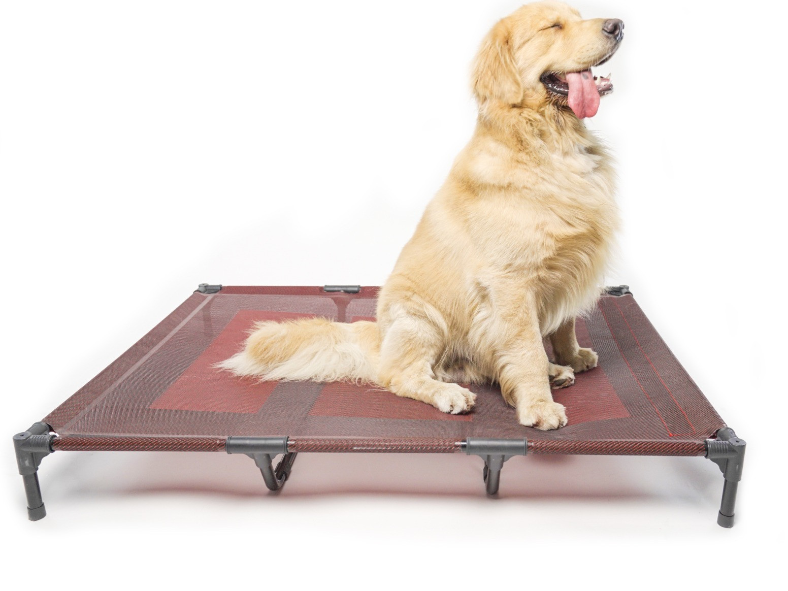 Elevated Dog beds Waterproof Outdoor(SIZE XL)
