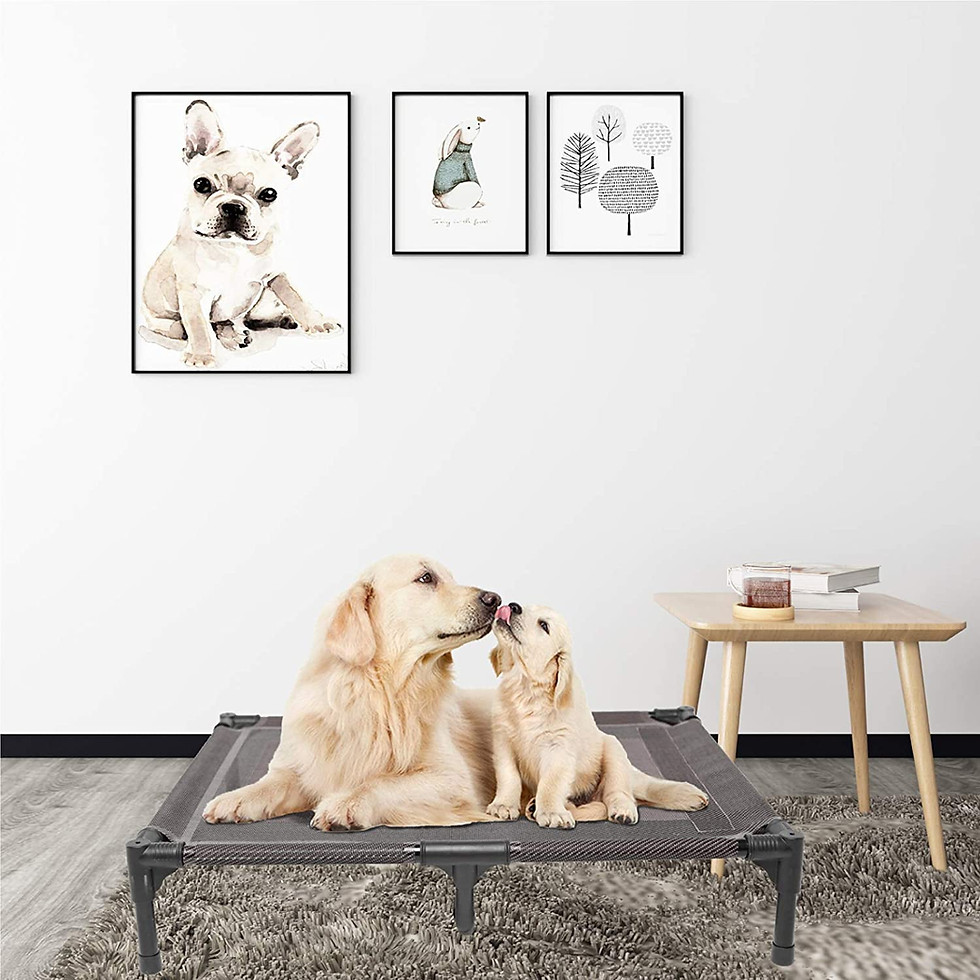 Thumbnail: Elevated Dog beds Waterproof Outdoor(SIZE XL)