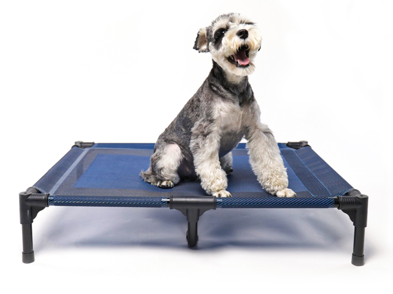 Elevated Dog beds Waterproof Outdoor(SIZE M)