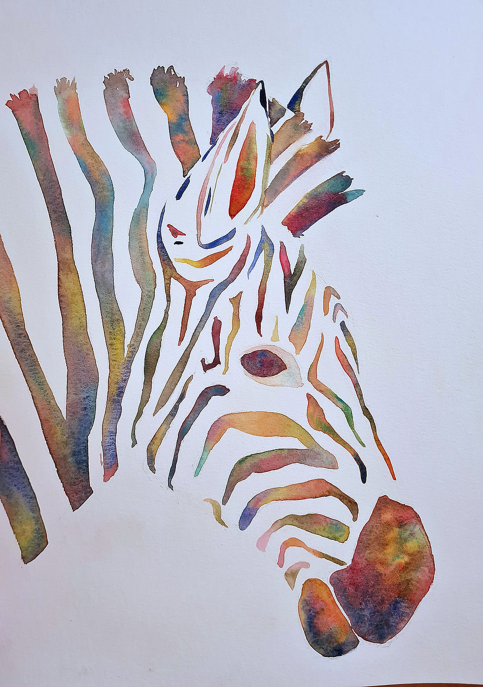 Rainbow Zebra