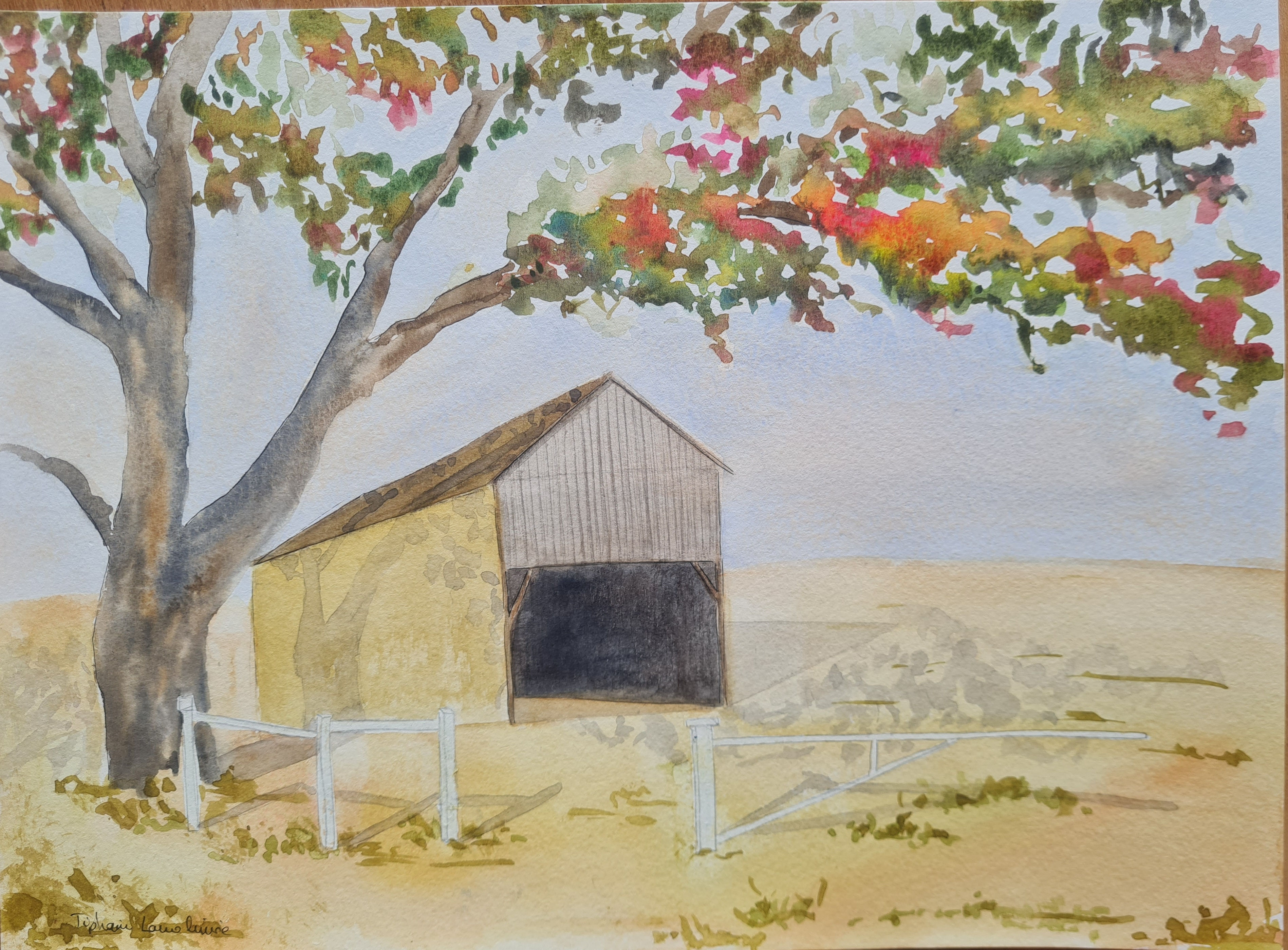 California Barn Under the Oaks