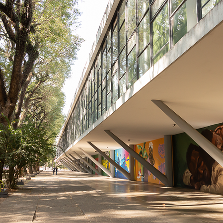 Gerenciamento de Obras - Museu Afro Brasil