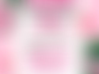 Marché 25 et 26 avril 2026 à Sept-Îles