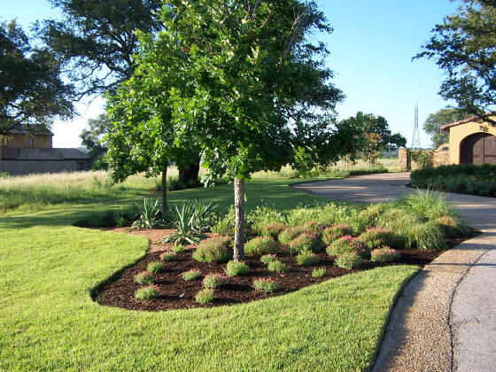 TEXASMAY_jpg_w560h420.jpg