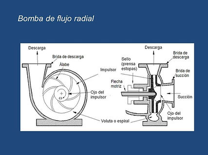 Bomba centrifuga Diagrama.jpg
