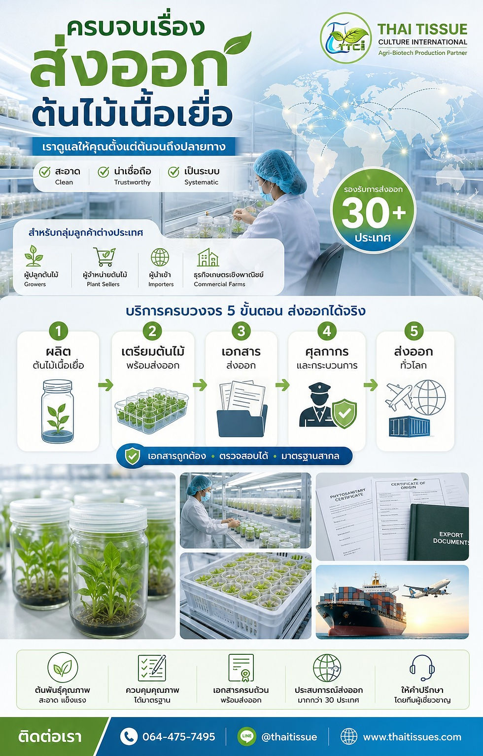 What Documents Are Required to Export Tissue Culture Plants? A Practical Guide for Thai Exporters