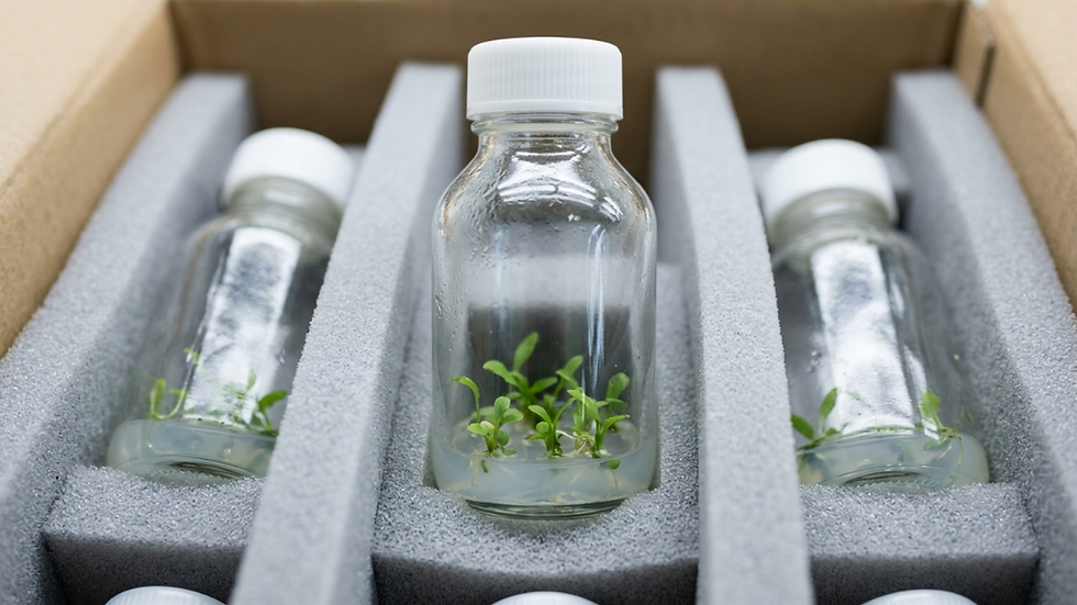Why Tight Packaging Matters