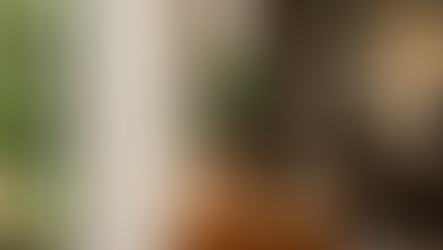 ปลูกแล้วชีวิตดี! เปิดพลังความเชื่อแก้วสารพัดนึก