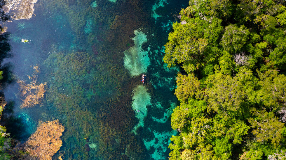 Rainbow River-16