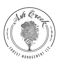 ACFM_VectorLogo_Final.jpg