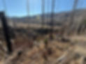 Image (93).jpeg