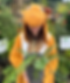IMG_3284_edited.png