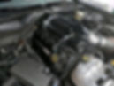 Thumbnail: BILLET COYOTE COIL COVERS (11-17 5.0/5.2)