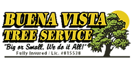 BuenaVistaTreeService.png