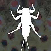 Juniata Troutfitters