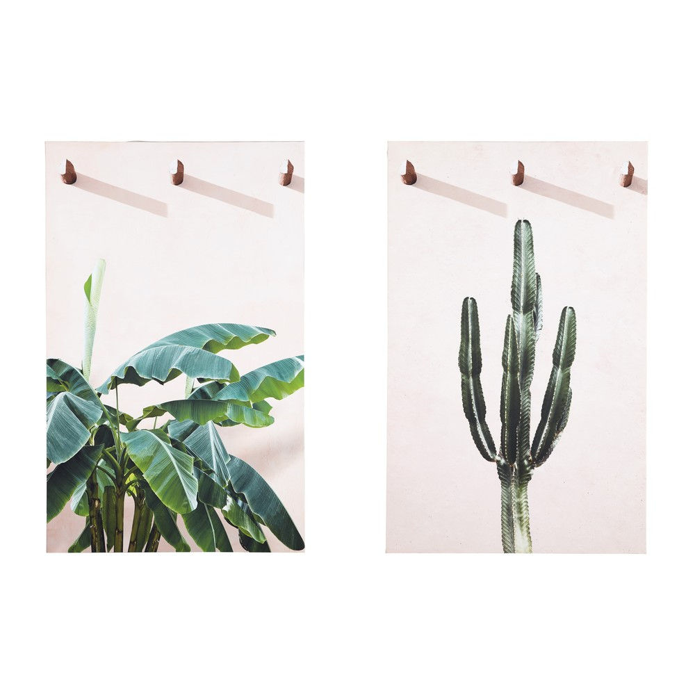 2 lienzos plantas