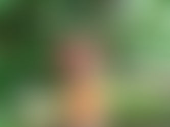 My Love Letter to 2025