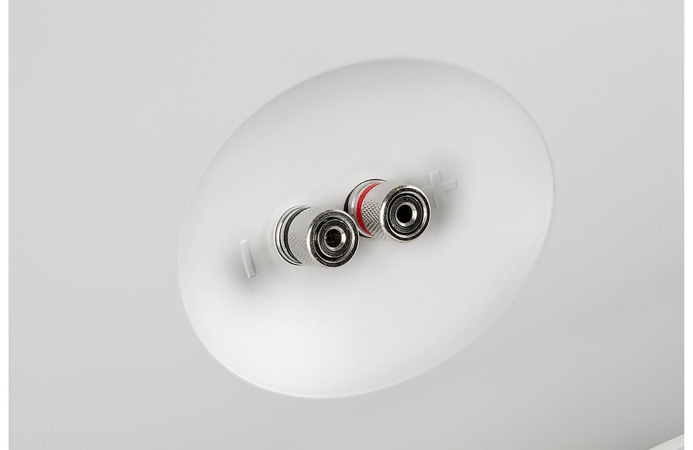 Miniatura: Definitive Technology AW550 color blanco lateral