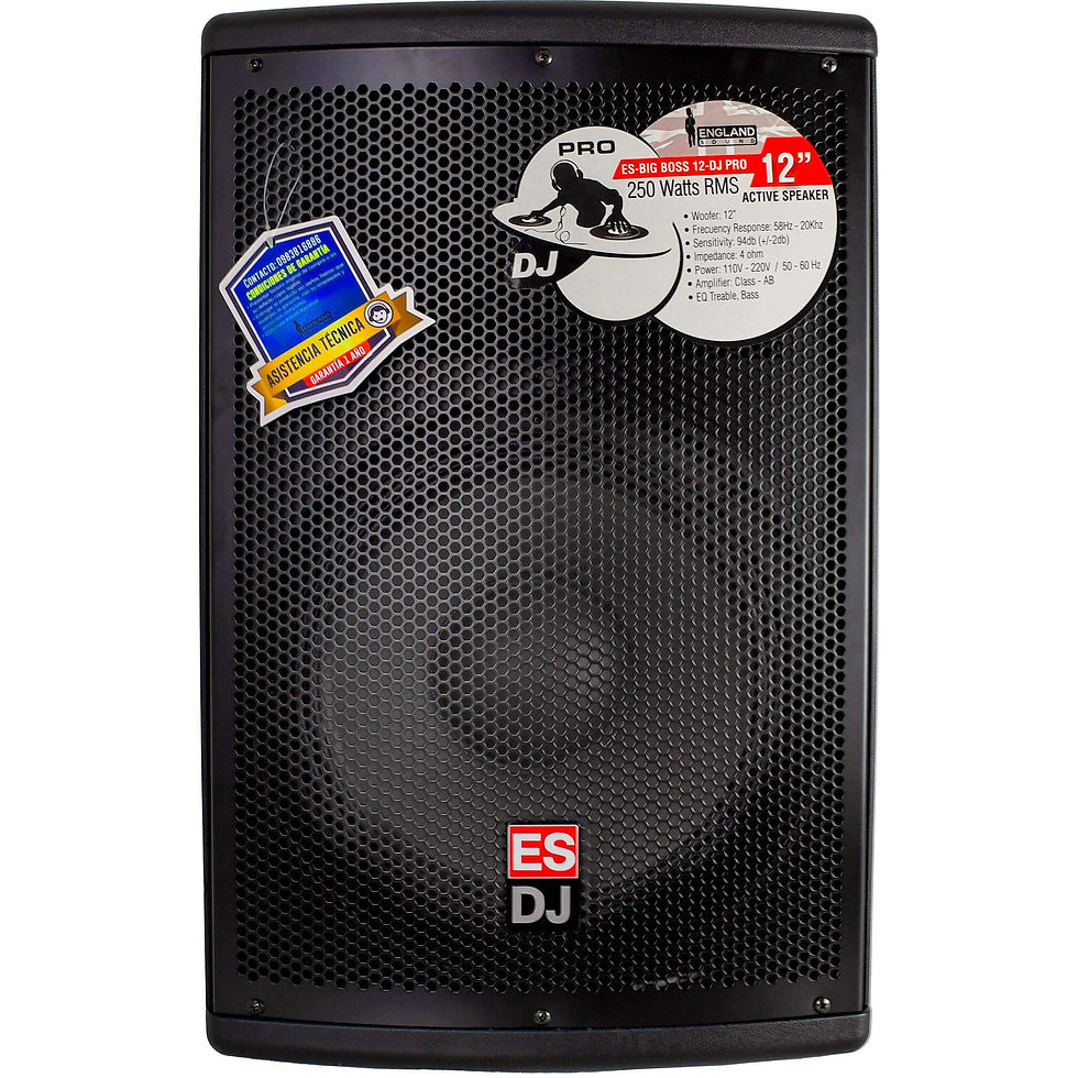 Miniatura: Englandsound BiG Boss 12 -DJ-PRo