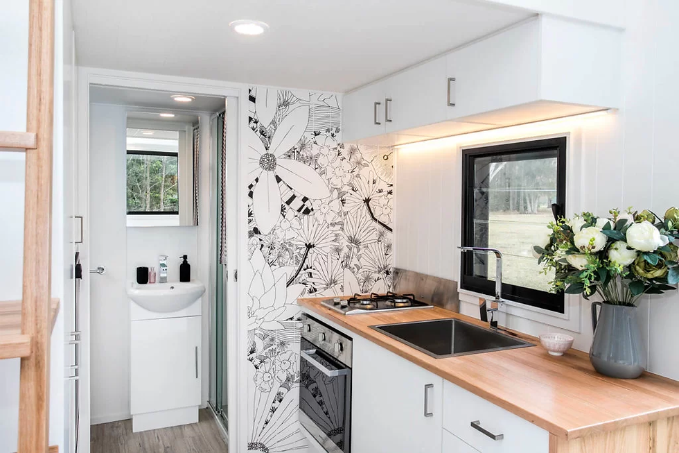 Küçük resim: 4x2,4 DehaTinyhouse 1022