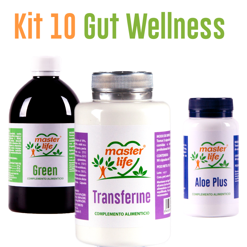 Gut Wellness master life nuria lorite