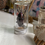 Thumbnail: Giant Bamboo Weevil Set in Glass Jar