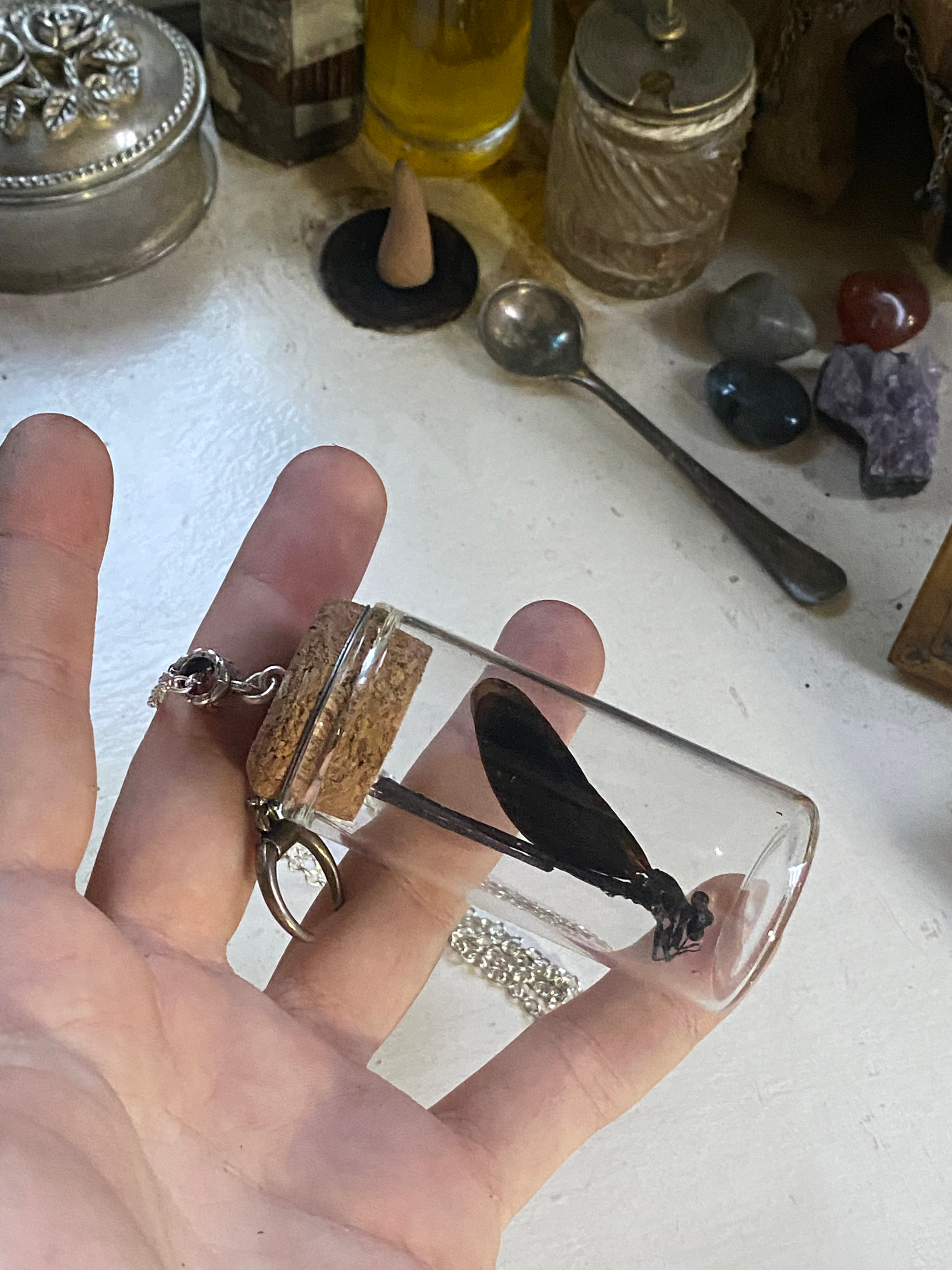 Dragonfly in Glass Jar Necklace