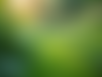 The Importance of Sustainable Living in Today's World