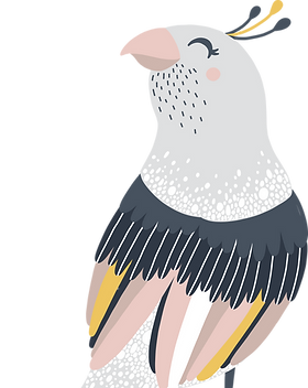 pájaro   