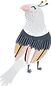 Bird