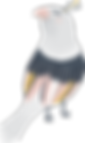 oiseau